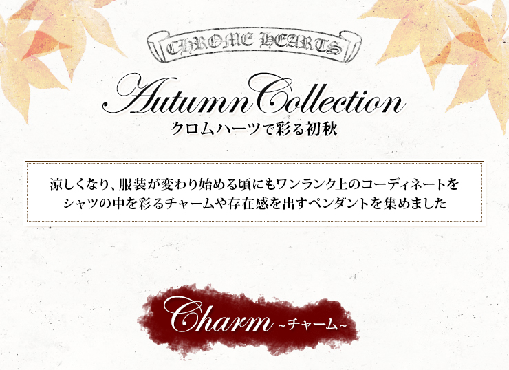 a4104 CHROM HEARTS クロムハーツ 写真集 2025年最新】クロムハーツ写真集の人気アイテム - メルカリ