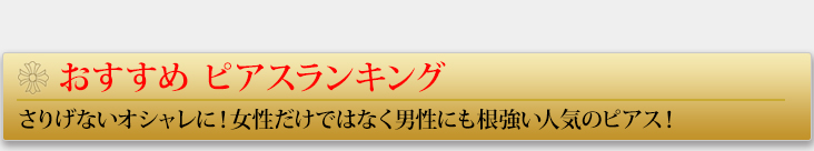 クロムハーツピアス(イヤリング) ギフトおすすめランキング
