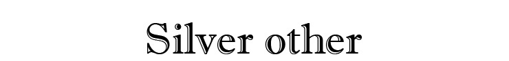 クロムハーツ chromehearts 相手を選ばずにプレゼントしやすい『シルバー小物』